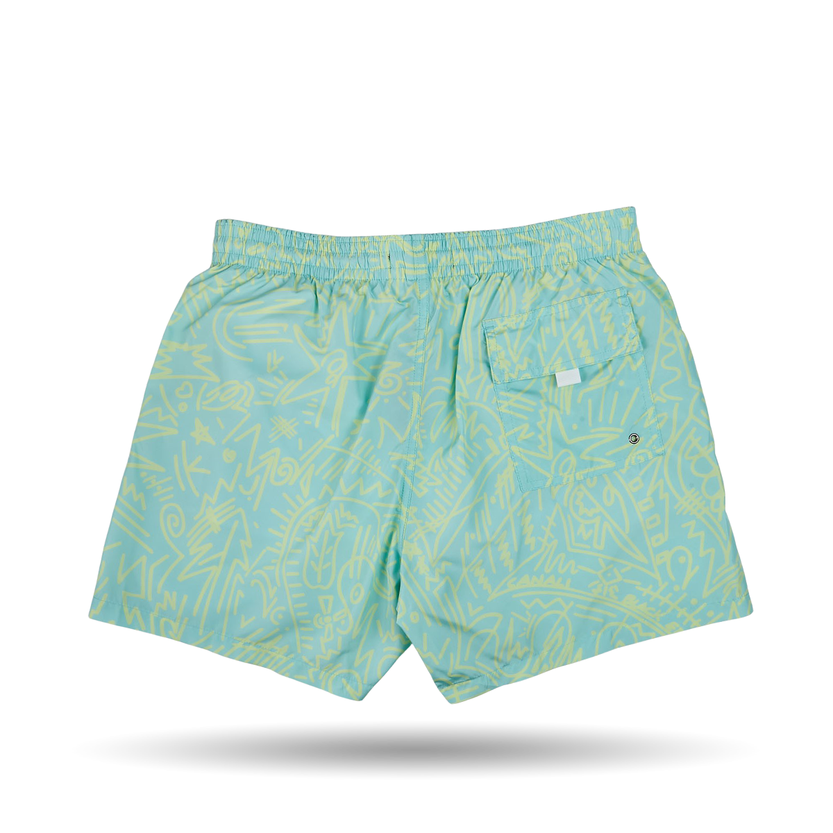 Canali Mint Green Printed Microfiber Swimshorts Back