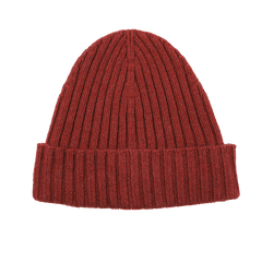 A burnt red ribbed cashmere beanie by Daniele Fiesoli, featuring a folded brim for classic appeal.