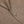 A close up image of an Eduard Dressler Brown Herringbone Cotton Blend Sendrik Blazer.