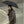 A Fox Umbrellas Black Telescopic Whangee Handle Umbrella being held by a man.