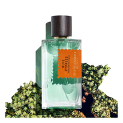 A clear glass bottle of Goldfield & Banks' Blue Cypress 100ml Eau de Parfum, featuring a dark cap and an orange label, is set against a backdrop of blurred greenery, suggesting its woody base and aromatic spices.