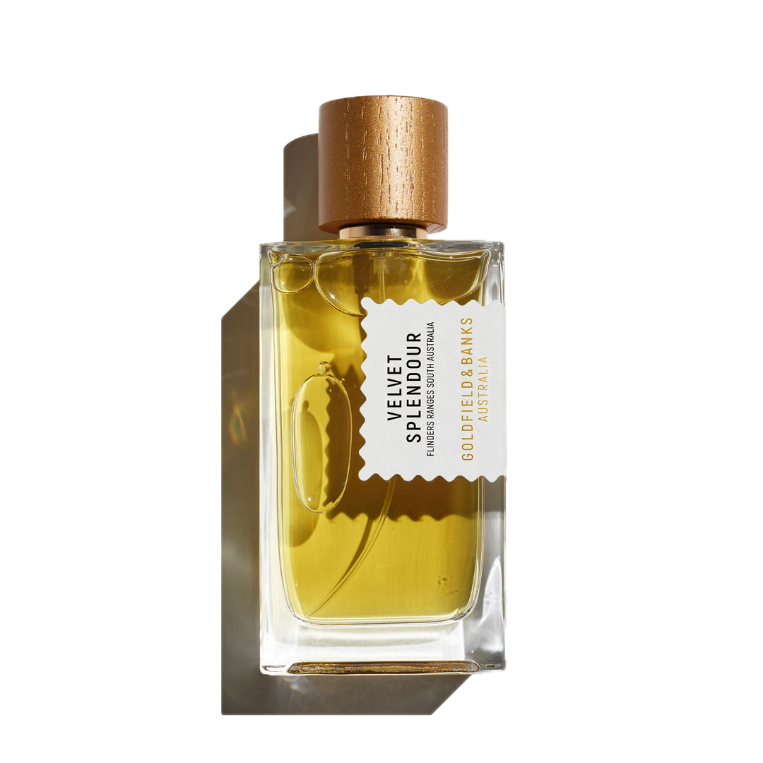 A clear glass bottle of Velvet Splendour 100ml EdP reveals its golden yellow liquid, capped with wood and featuring a white label that reads "Goldfield & Banks." Infused with the magical notes of the mimosa tree, it embodies the essence of blooming wildflowers.