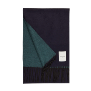Piacenza Cashmere Navy Petrol Two-Sided Silk Cashmere Scarf Feature
