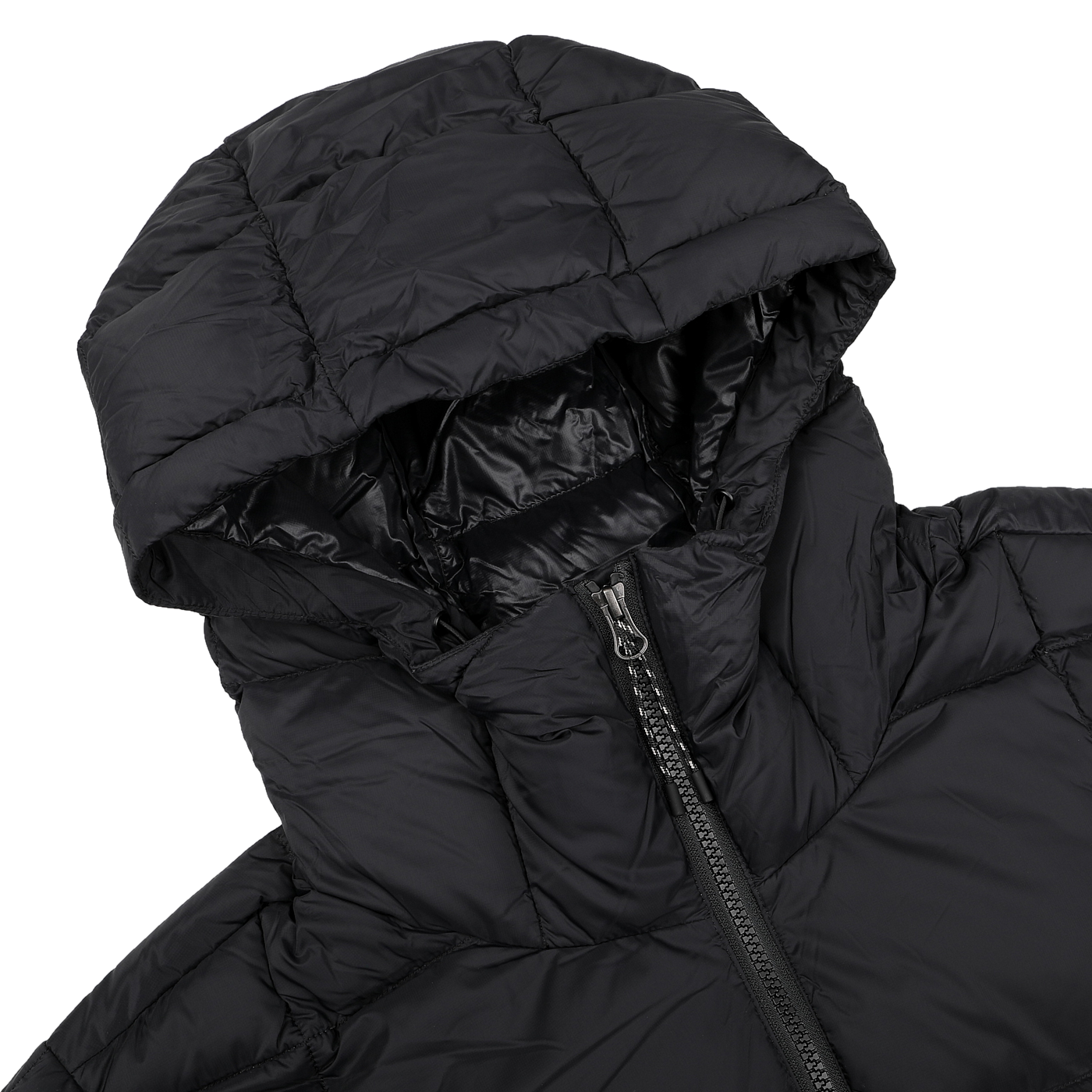 Close-up of a Black Nylon Down Padded Parka by Taion, showcasing the hood and part of the front zipper against a light gray background.