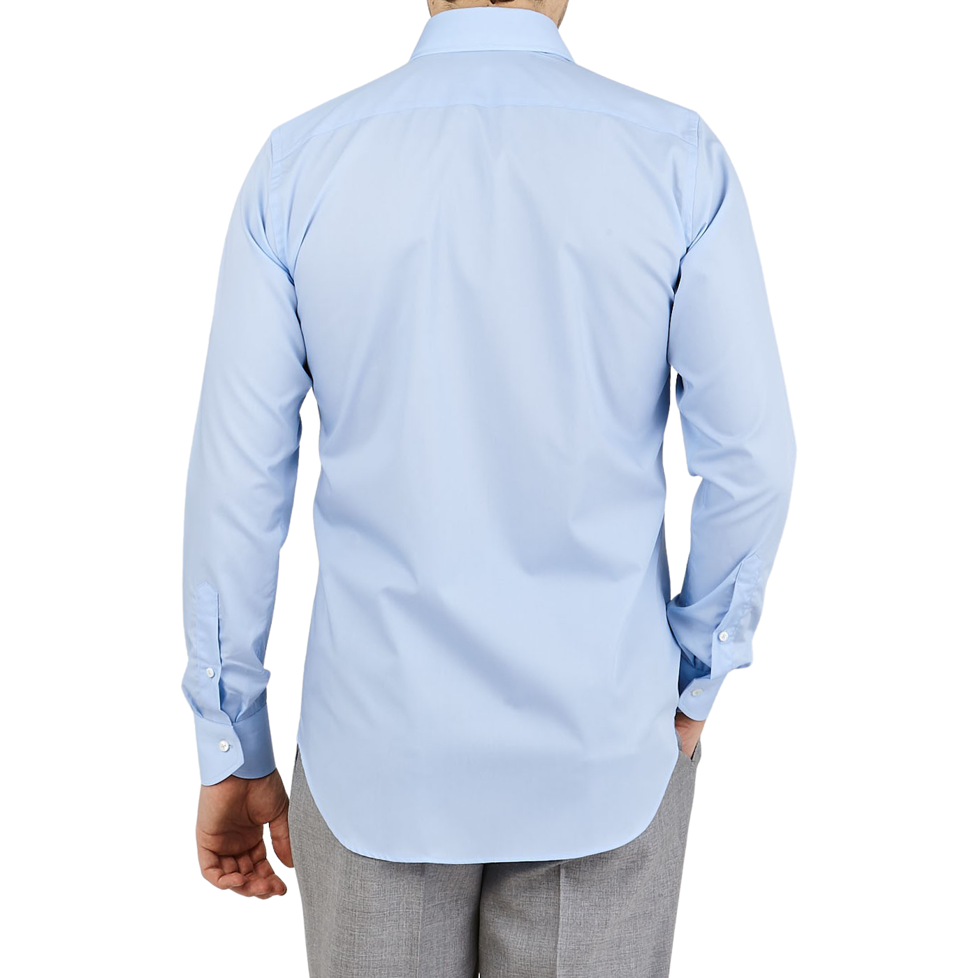 Canali Sky Blue Plain Cotton Shirt Back