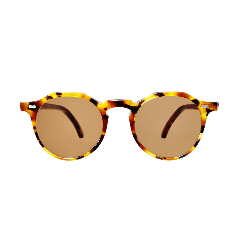 JFK Sunglasses Frames | Brookline | Marbled Amber | Cult Eyewear | Cult  Eyewear