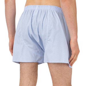Sunspel Blue White Cotton Micro Gingham Poplin Boxer Shorts Back