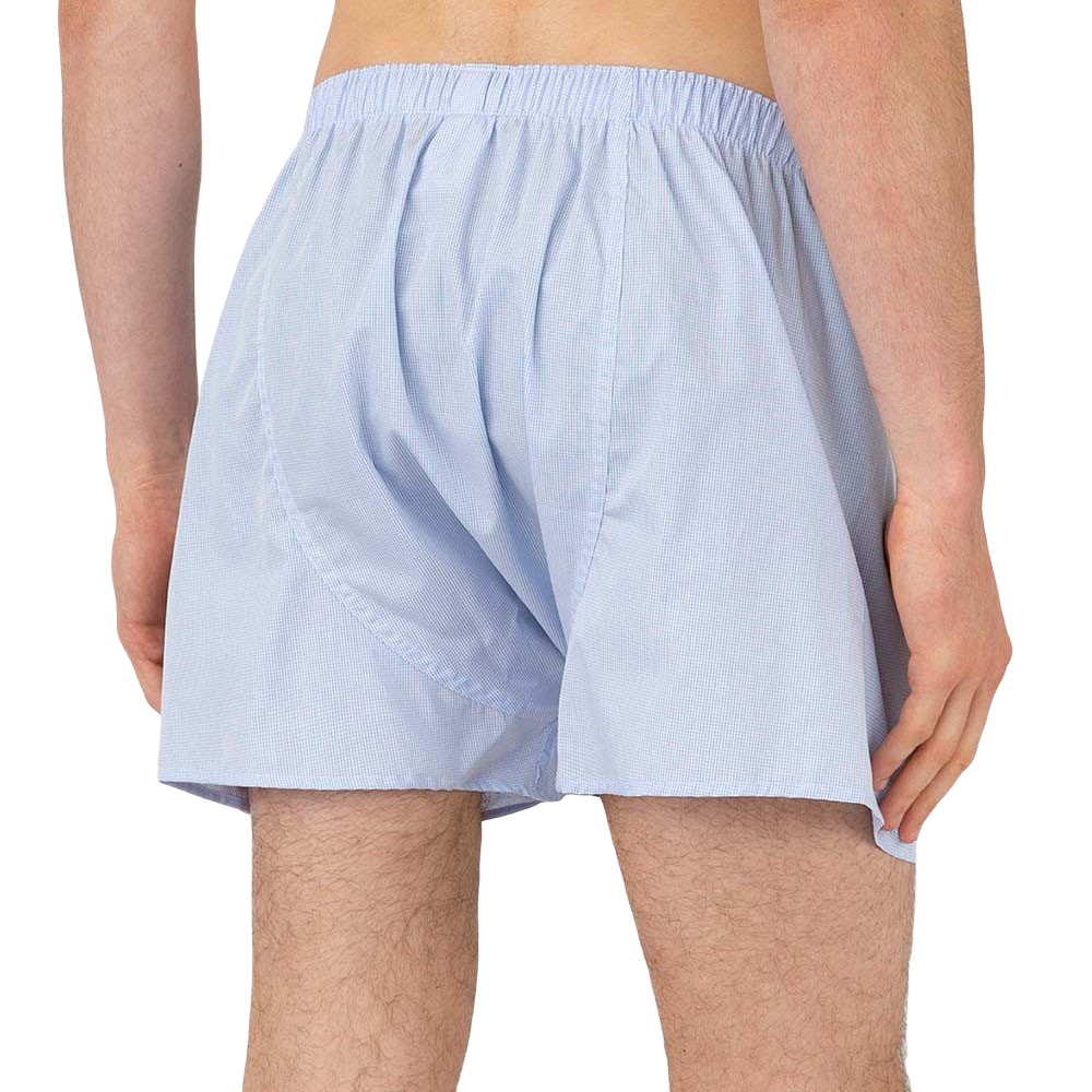 Sunspel Blue White Cotton Micro Gingham Poplin Boxer Shorts Back